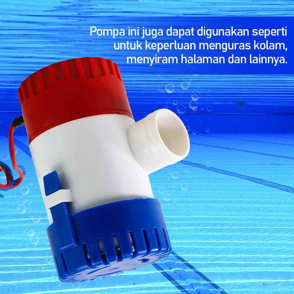11ede4a9bb19062090470242ac110008.jpeg